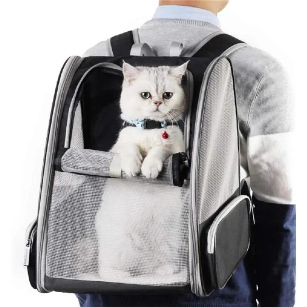 Innovative Traveler Bubble Backpack Pet Carriers for Cats and Dogs (Black)
